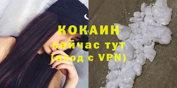 винт Абаза
